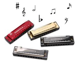 Harmonica com estojo para estudantes iniciantes e crianças, diatônica, chave de C, 10 buracos, presente - Image 4