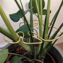 Estaca De Suporte De Planta, Rustproof, Resistente À Corrosão, Instalação Simples, Monstera Shaped, Pilha De Flores - Image 5