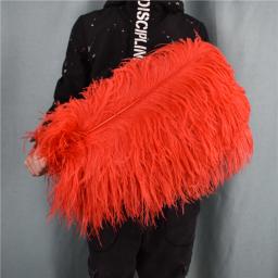 Decoração de Penas de Avestruz Vermelho, Penas Grandes para Artesanato, Top de Carnaval, Feriado, Acessórios para Casamento, Decoração, 15-70cm, - Image 2