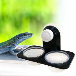Alimentador de répteis com ventosa, prato destacável, tigela para lagarto, camaleão, acessórios para gaiola, pequeno animal de estimação, dragão barbudo - Image 3
