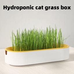 Catgrass hidropônico para planta verde interior, sementes de trigo para gatinhos, lanche de gato, pote claro, pronto para comer, pet snacks - Image 3