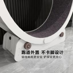 Roda de treinamento grande para gatos e cães, esteira interativa, brinquedos silenciosos Pet, raspadinha, faixas de túnel, produtos de origem animal - Image 4