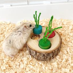 Brinquedo De Mastigação Em Forma De Madeira Redonda, Suprimentos Educativos para Pequenos Animais De Estimação, Papagaio, Hamster, Coelho, Brinquedos de Forrageamento - Image 1