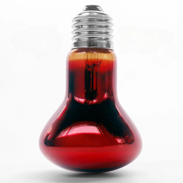 Lâmpada de Calor Infravermelha para Répteis e Anfíbios - Ideal para Terrários - 110V/220V, 25W/50W/100W