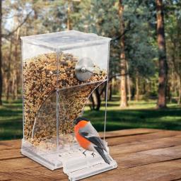 Alimentador Automático para Periquitos Pequenos e Médios, Sem Alimentadores de Pássaros, Recipiente De Alimento De Semente De Acrílico, Bebedor, Gaiola Acessórios - Image 5