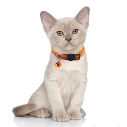 Coleiras para animais de estimação com sinos colar bonito colar para gato cão coleiras ajustável reflexivo ao ar livre pequenos coleiras para animais de estimação suprimentos - Image 2