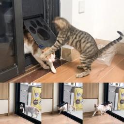 Tela magnética de travamento de segurança para porta de animais de estimação com tela magnética de travamento impressões de pata de cachorro anti mordida porta de tela de gato porta de animais de estimação - Image 3