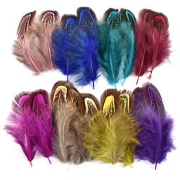 Combinações multicor, ganso Avestruz Penas Artesanato, frango, Turquia, pavão pena, acessórios de artesanato, muitos tipos - Image 6