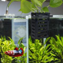 Suporte de planta para aquário, armazenamento tanque de peixes, suporte de planta, plantas aquáticas, plantio, bacia, paisagismo bacia - Image 6