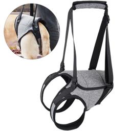 Arnês elevação para cães com suporte para para cães idosos feridos deficientes, suprimentos para animais - Image 2