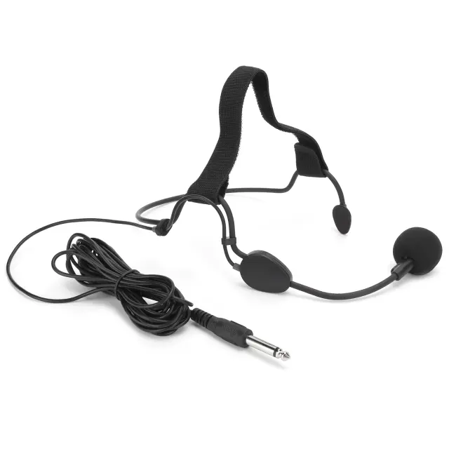 Microfone Dinâmico Profissional 6,35mm para Instrumentos Musicais e Guitarras WH20TQG
