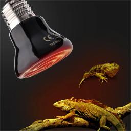 FarInfrared lâmpada de aquecimento para répteis, caixa cerâmica, aquecedor, aquecedor, lâmpada de calor, Brooder, tartaruga, aranha, 25W, 50W, 75W, 100W, E27 - Image 3