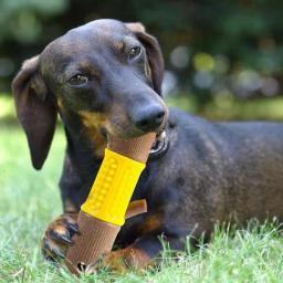 Portátil interativo Pet dentição brinquedos para cães, mastigadores agressivos, pequenos animais de estimação, amantes cães - Image 4