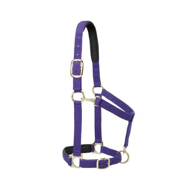 Halter de Cavalo Nylon Acolchoado Ajustável Estilo Moda 1 Peça