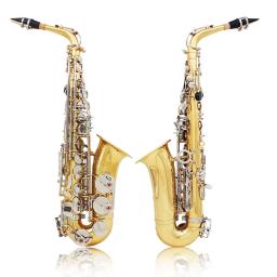 SLADE-Eb saxofone Alto com Case, E Flat Sax Alto, instrumento de sopro, saxofone, cinta, luvas, palhetas, escova de limpeza, acessórios - Image 4