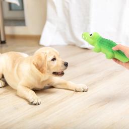 Brinquedo para animais de estimação engraçado mascar filhotes brinquedos interativos suprimentos para cães dos desenhos animados estridente pequenos cães emulsão látex para - Image 4