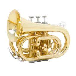 M MBAT-Professional portátil bolso trompete, Flat B Bb, instrumentos de latão, Palm Horn, latão, pano, escova, graxa - Image 1