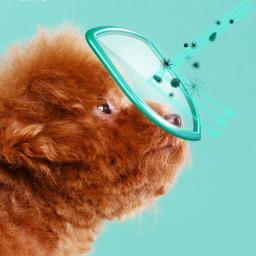 Produtos de Limpeza Universal Sem Irritação para Animais, Toalhetes para Cães e Gatos, Toalhetes Húmidos, 130 - Image 4