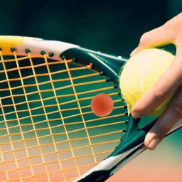 Silicone Tennis Racket Damper, Absorvente Anti-Vibração, Malha Chocante, Tensor, Agitando Amortecedor, Iniciante - Image 1