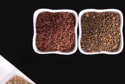 Alimento Natural Inteligente para Papagaio, Mistura Premium de Sementes, Boa Pena de Abeto, 0,5 kg - Image 4