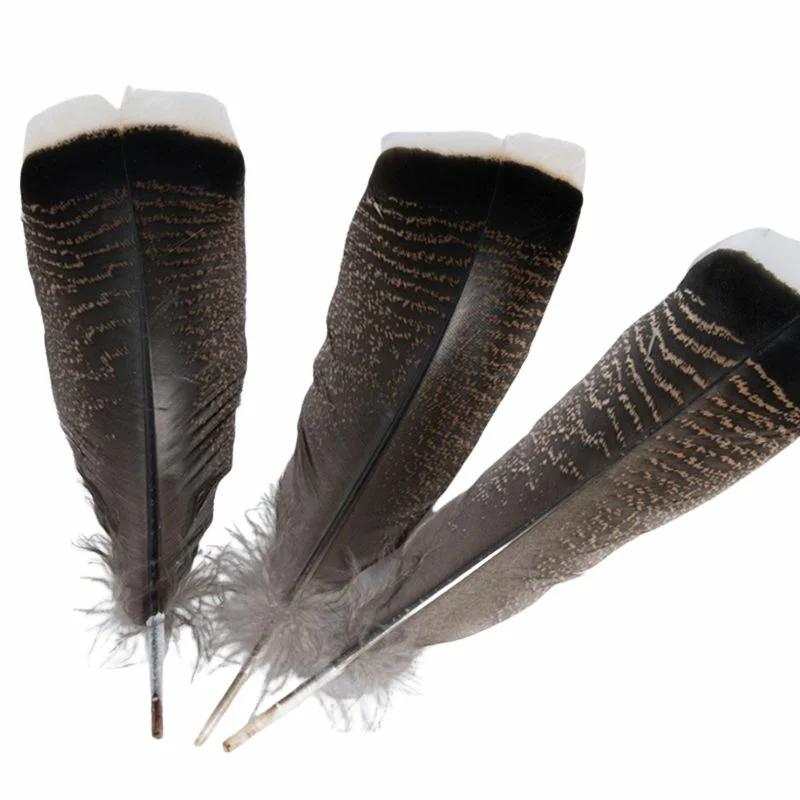 Penas naturais de peru para artesanato, performance de palco, decoração de fantasias, jóias DIY, acessórios vaso, 25-30cm, 10pcs - Image 1