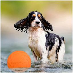 Borracha macia brinquedos interativos mordida-resistentes para cão, Treinamento popular do cão do frisbee, Pet fornecimentos - Image 1