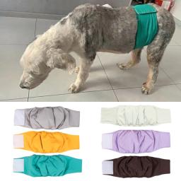 Alta qualidade pet cão fralda shorts anti-anti-Ansting segurança, masculino cão calças fisiológicas para cães pequenos e médios, pelúcia chihuahua - Image 1