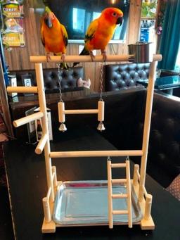Papagaio De Madeira Play Stands, Bandeja De Balanço De Pássaro, Copa Brinquedos, Ponte De Escada De Suspensão, Gaiola De Escalada Estilo Parque, - Image 2