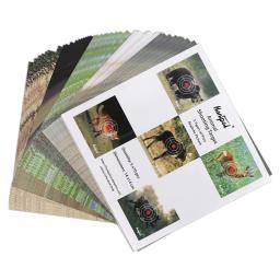 Papel alvo de tiro animal selvagem, Alvos realistas com BB Pellet Trap, Prática de jogo de caça instantânea, 50pcs - Image 6