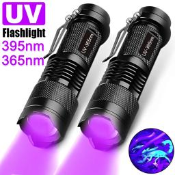 Lanterna Blacklight Handheld, Mini Tocha de Luz, Detector para Cachorro, Manchas de Urina Pet, Bed Bugs e Scorpions, Lanterna UV, 395nm - Image 1