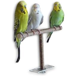 Papagaios De Madeira Natural Swing Toy, Contas Coloridas, Suprimentos De Pássaros, Sinos, Poleiro, Gaiola De Balanços Pendurados Para Animais De Estimação, 1Pc - Image 3
