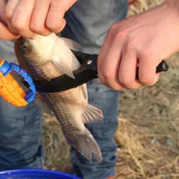Dispositivo de controle de peixes ao ar livre braçadeira de plástico pesca lábio aperto ferramenta controlador isca peixe braçadeira antiderrapante pinça alicate suprimentos kit - Image 6