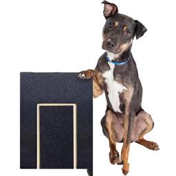 Placa para arranhar unhas cachorro com caixa tratamento, almofada arranhões interativa e gratificante para gatinhos - Image 5