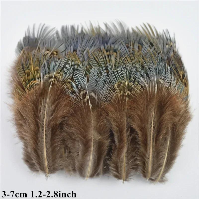 Atacado natural frango pavão ganso faisão pena pequenas penas para artesanato acessórios diy jóias decoração - Image 1
