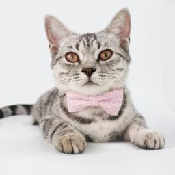 Coleira de gato fofa com gravata borboleta design ajustável cães de estimação gatos filhote de cachorro colar suprimentos para animais de estimação - Image 3