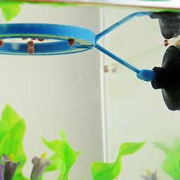 Peixe Alimentando Suprimentos Círculo De Flutuabilidade De Plástico Para O Aquário De Flutuação Alimentador De Alimentos Quadrado/Acessório De Tanque De Peixes Anel De Alimentação Redonda - Image 5