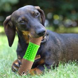 Brinquedo de dentição interativo para pequenos animais de estimação, Portátil para mastigadores agressivos, Brinquedo dentição para cães - Image 5