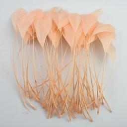 20 pçs/lote colorido ganso pena decoração preto gansos penas de ganso diy jóias festa artesanato acessórios decoração para roupas - Image 5