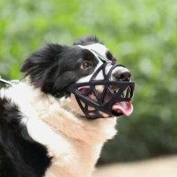 Ajustável macio Silicone Dog Muzzles, Anti Biting Pet Boca Máscara, Pequeno Médio e Grande Cães, Parar de latir, Mastigar Cesta, 4 Tamanhos - Image 1