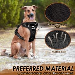 Benepaw-No Pull Dog Harness, No Choke, fácil alça de controle, Reflective Pet Harness, ajustável macio acolchoado colete do cão, 2 Clipes Trela - Image 2