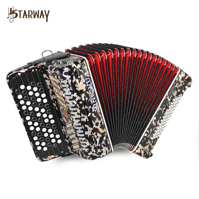 Piano Acordeão Papagaio para Iniciantes: 62 Teclas, 60 Graves e Botão Diatônico - Instrumento Musical Chinês Ideal para Aprendizes