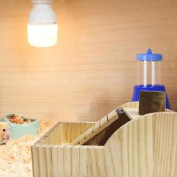 Funny Hamster House with Ladder, Gerbil House, Cage Acessórios, Decoração para Ratos, Pequenos Animais - Image 4