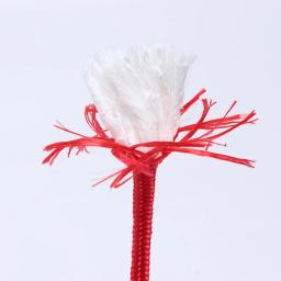 Cabo Parachute Monocromático, Corda Lanyard, Tipo Mil Spec, Uma Strand, Escalada e Camping, Equipamento de Sobrevivência, 2mm, 34mm, 5mm, 6mm, 10m Lot - Image 5