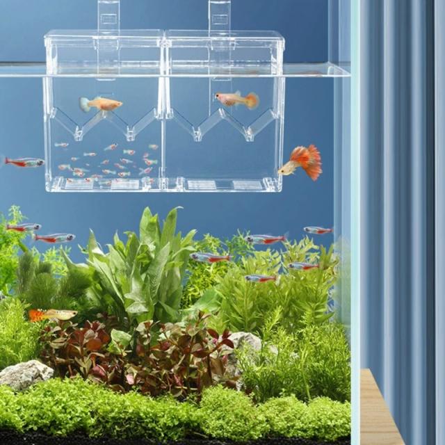 Sistema de Incubação e Reprodução de Peixes Pequenos para Aquários