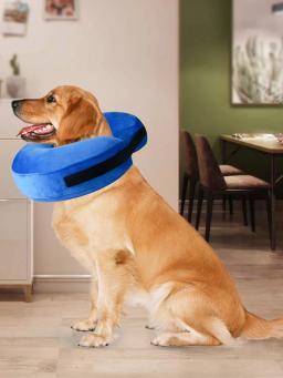 Colar inflável do animal de estimação anti-mordida pescoço collar elizabetano bonito gato cachorro cachorro pescoço protetor ferida cura e-collar S-L - Image 2