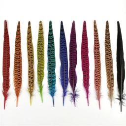 Penas de cauda de faisão 10 fábricas, penas coloridas para decoração de cabelo, peças centrais de mesa, acessórios de artesanato - Image 6