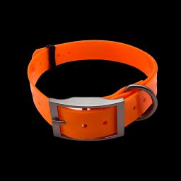 D-Buckle Nylon Dog Collar, coleira ajustável Pet, Acessórios Coleira de cão grande, Suprimentos de reboque, impermeável - Image 1