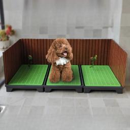 Treinamento WC para cão e cachorro, acessórios de limpeza, vaso sanitário plástico, pata mais limpo, produtos para animais, cy50dt - Image 6