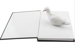 Metamofo-Livro de Magia para Truques de Magia, Ilusões Acessórios, Adereços Gimmick, Comédia, Ilusões, Palco, Pomba - Image 3