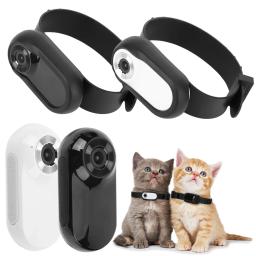 Câmera Collar Wireless para Animais de Estimação, Mini Body Cam, Gravações de Vídeo para Cães e Gatos, Sem WiFi Necessário, Presente de Aniversário, HD 1080P - Image 6